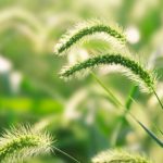 龙虎斗真人视讯:真实玩家的经验分享与攻略 F5BFE539